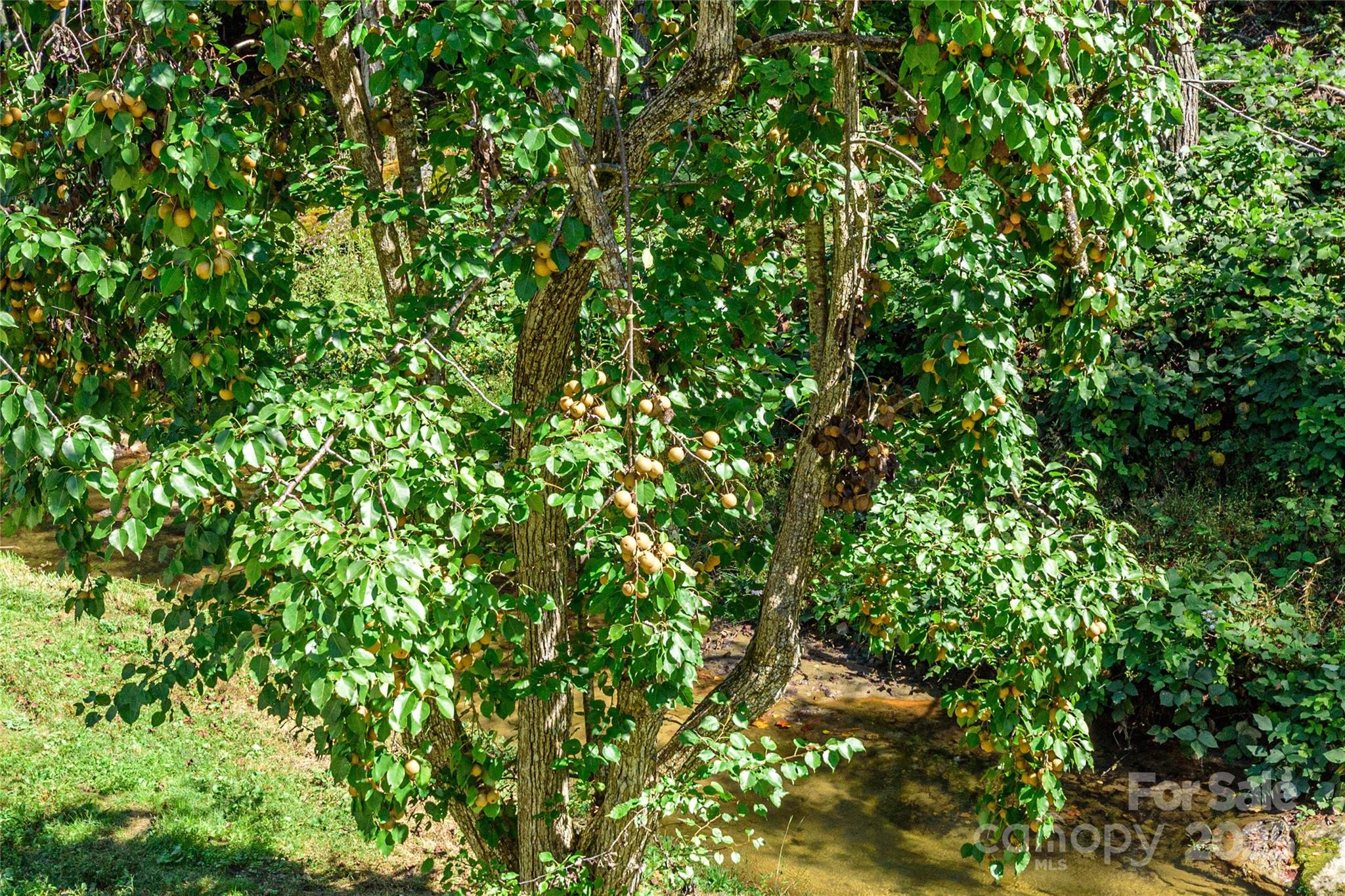 1361 Pleasant Grove Church Road