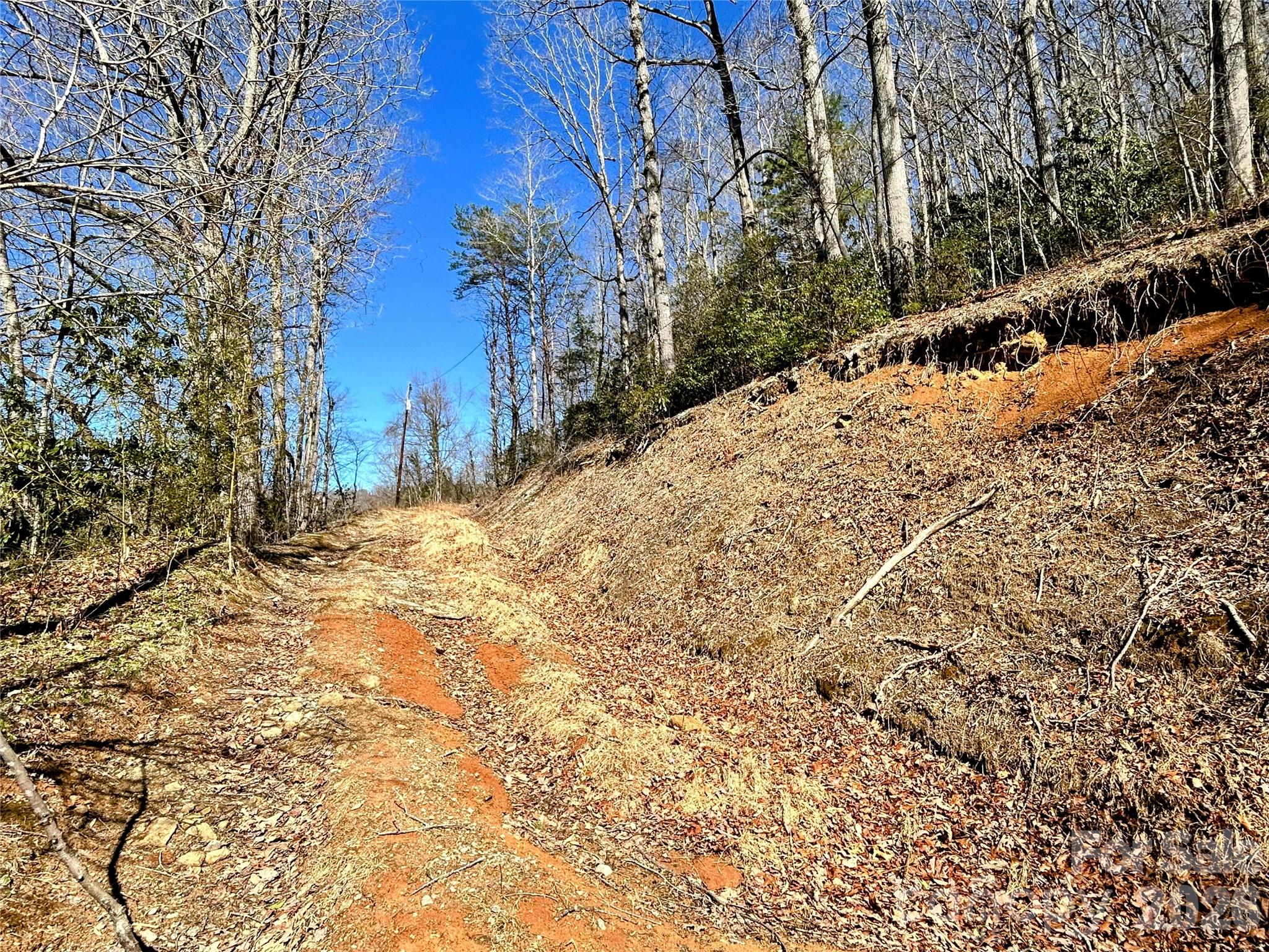 99999 Carpenters Son Lane