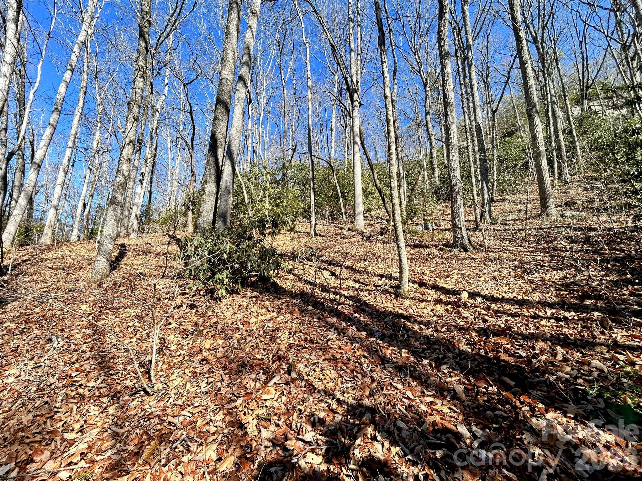 99999 Carpenters Son Lane