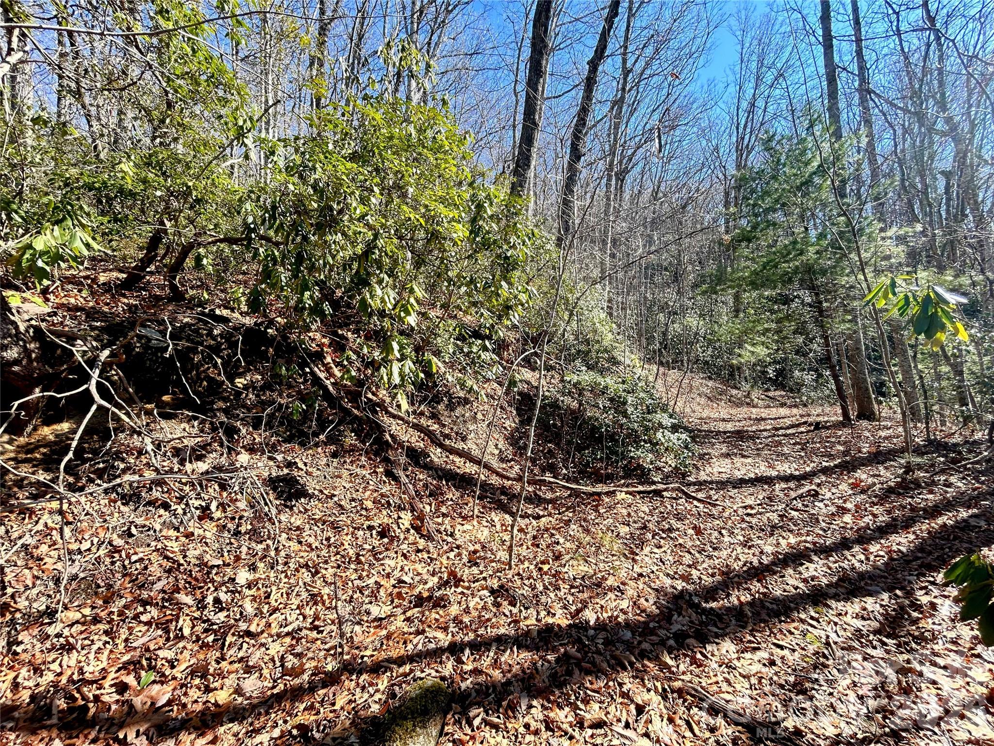 99999 Carpenters Son Lane