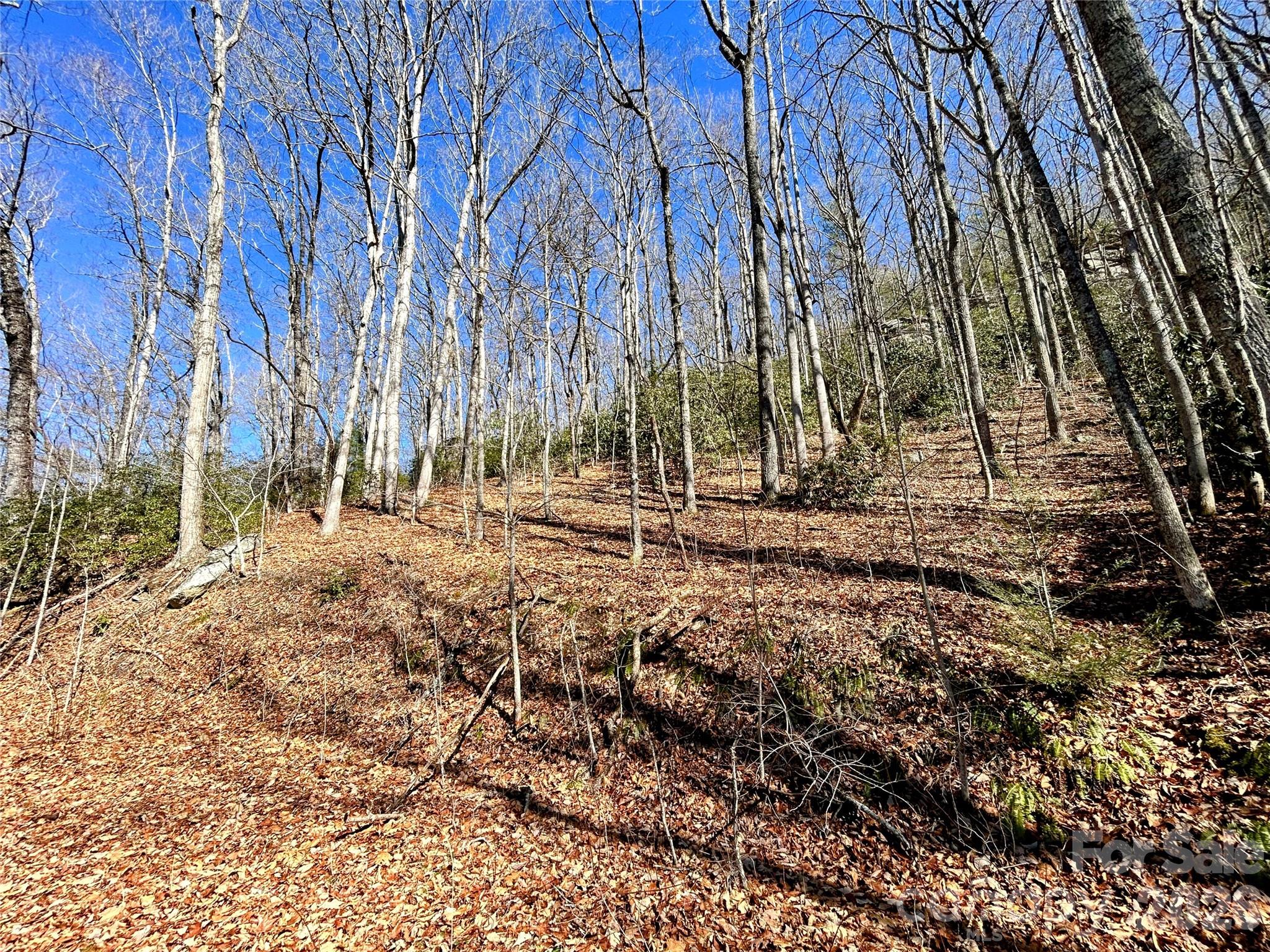 99999 Carpenters Son Lane