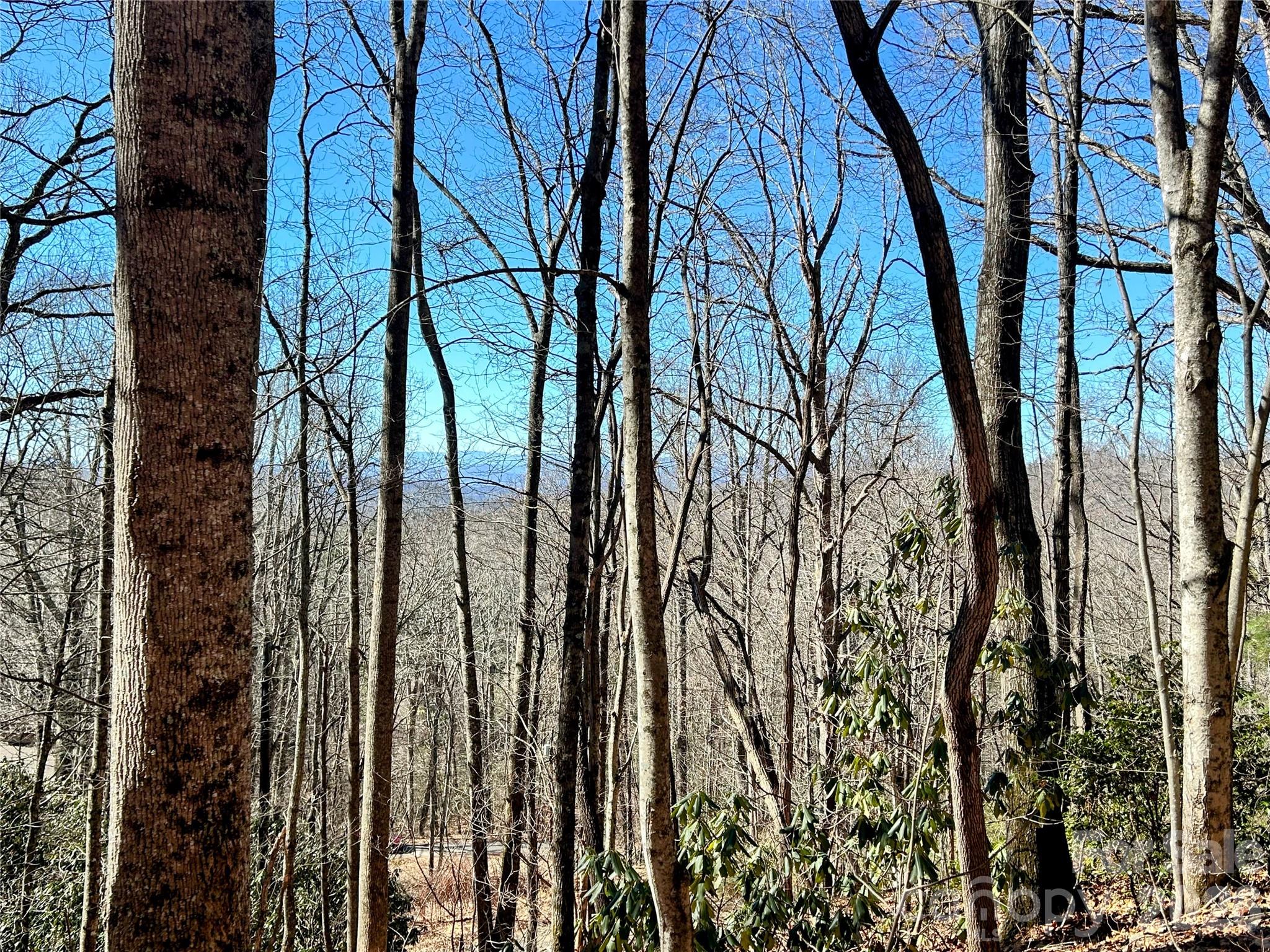 99999 Carpenters Son Lane