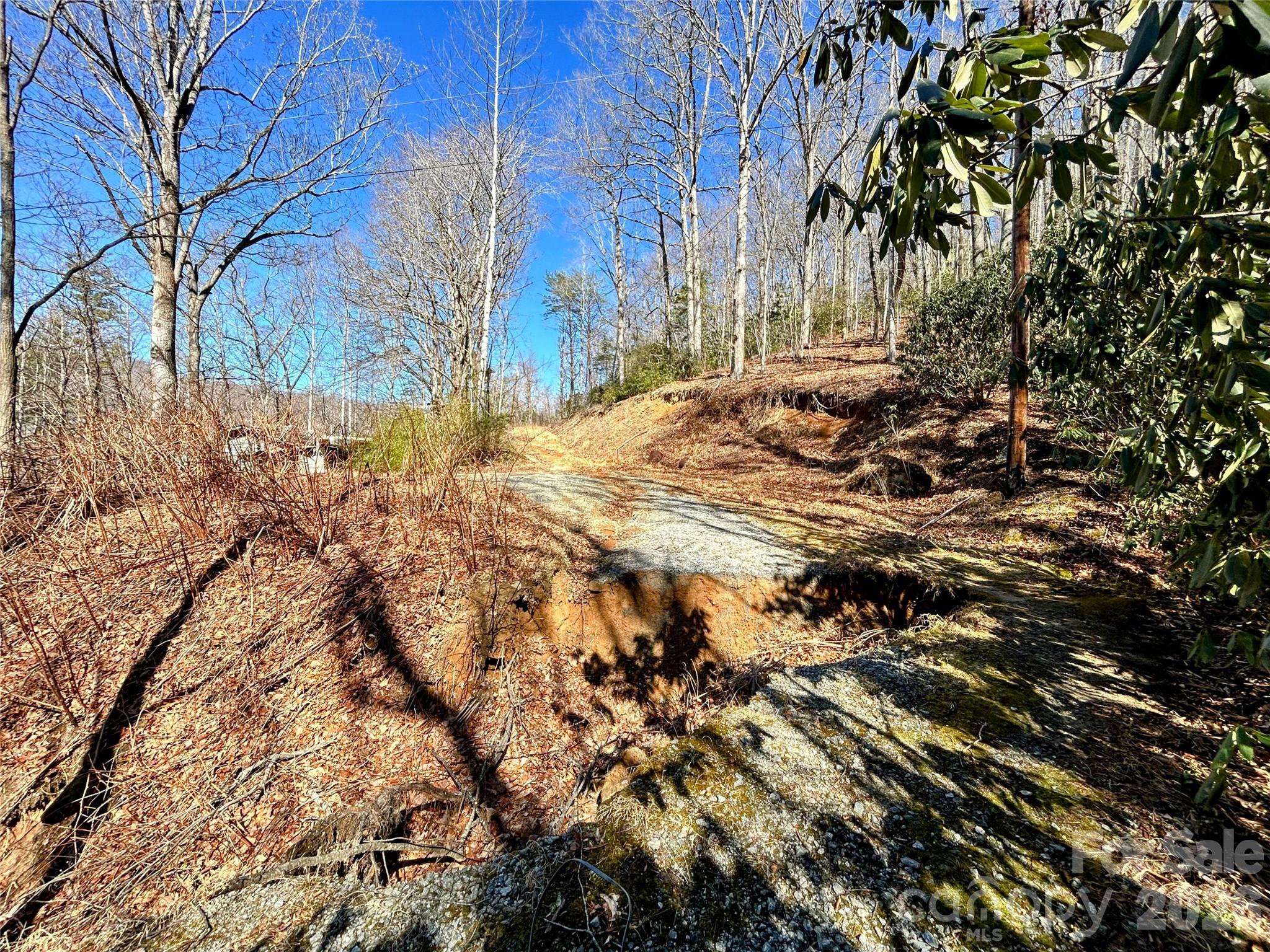 99999 Carpenters Son Lane