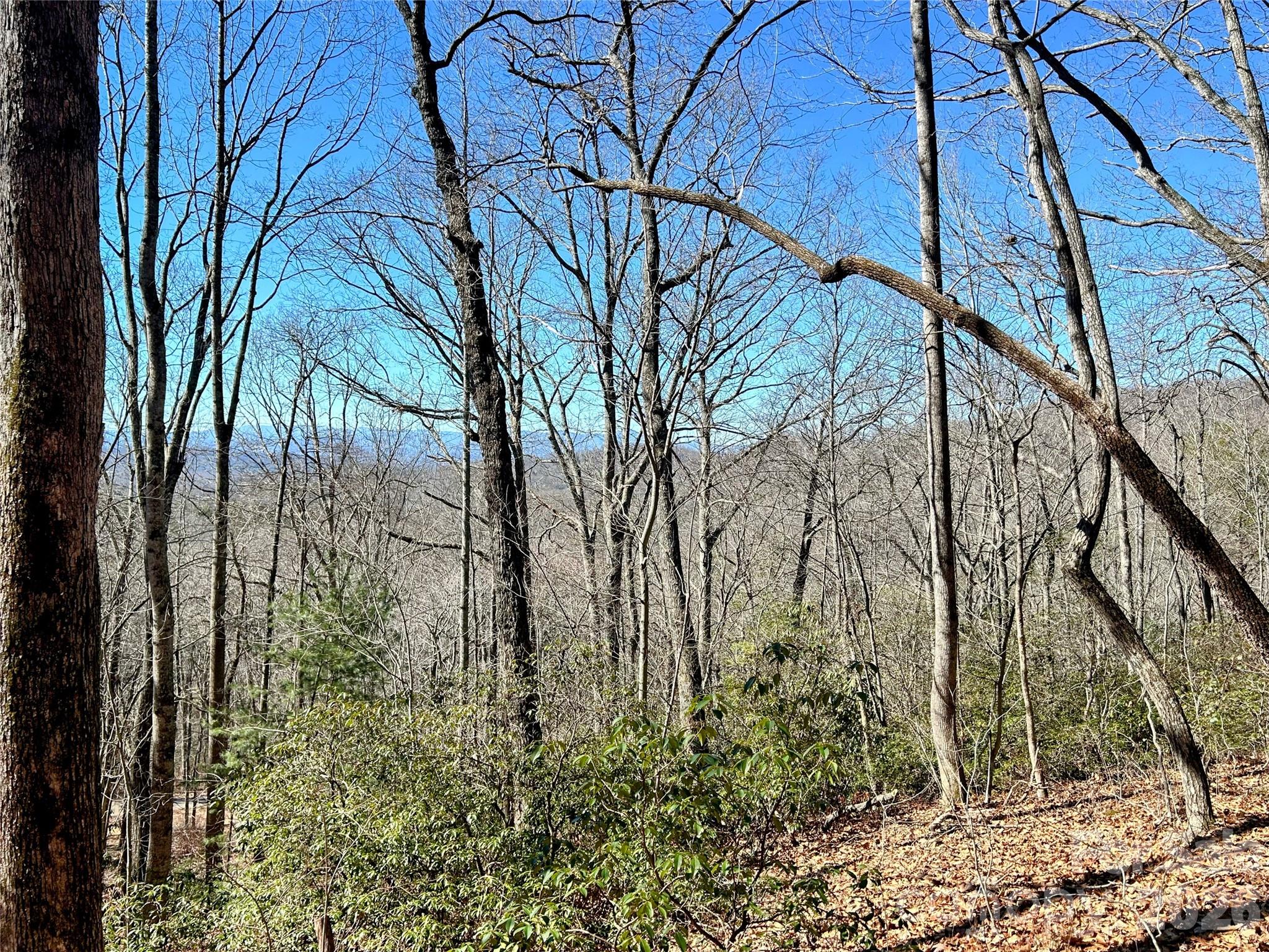 99999 Carpenters Son Lane