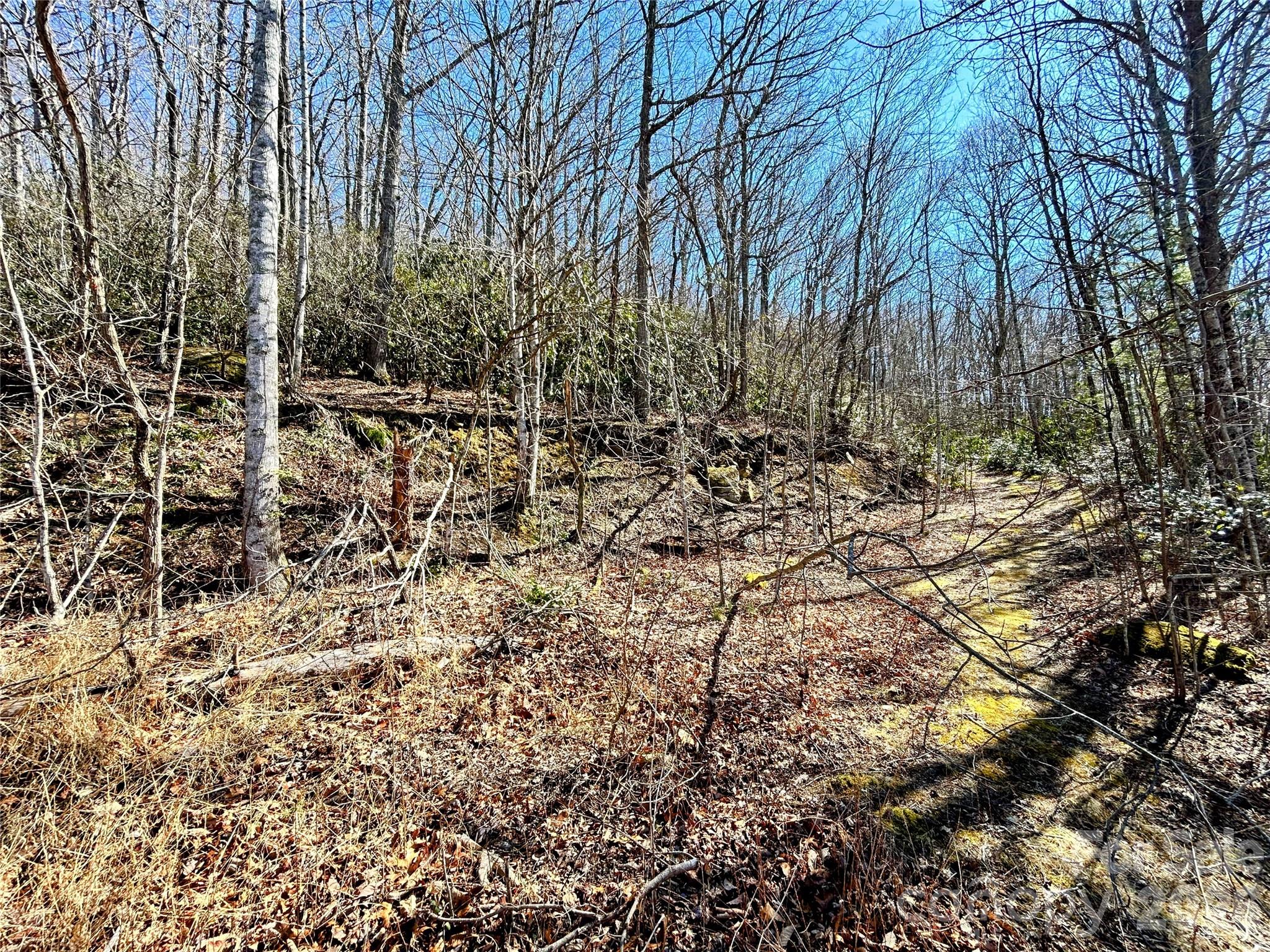 99999 Carpenters Son Lane