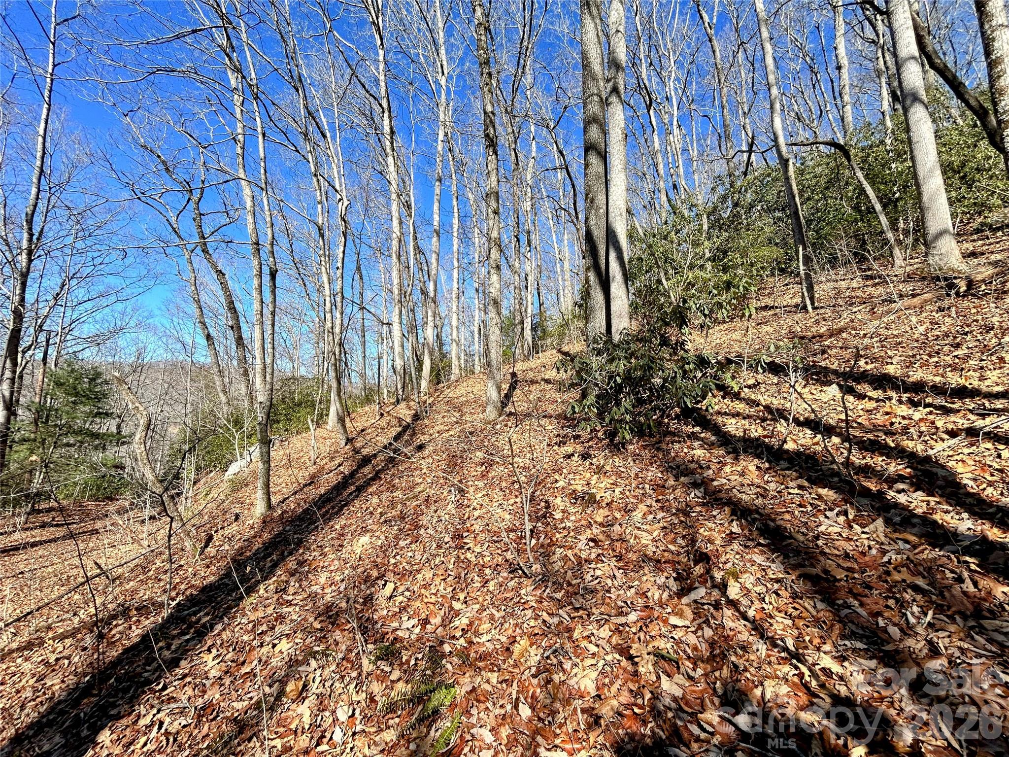 99999 Carpenters Son Lane