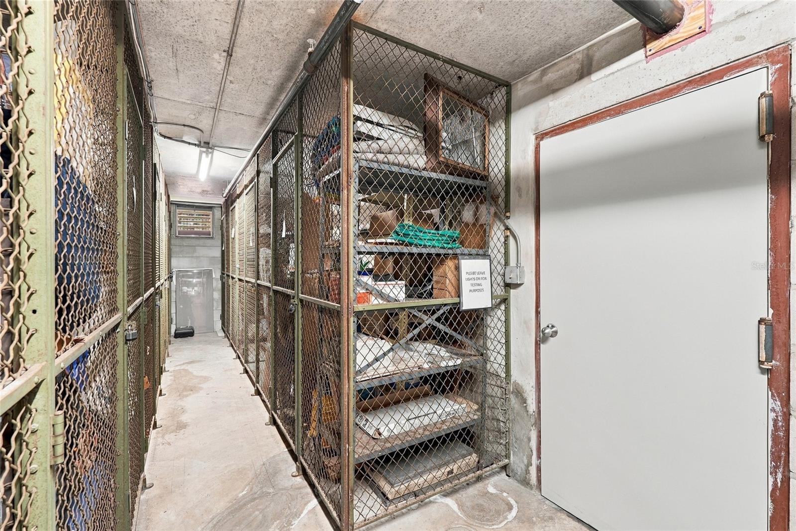 Condominium storage corridor lined with metal mesh cages and shelves of belongings.