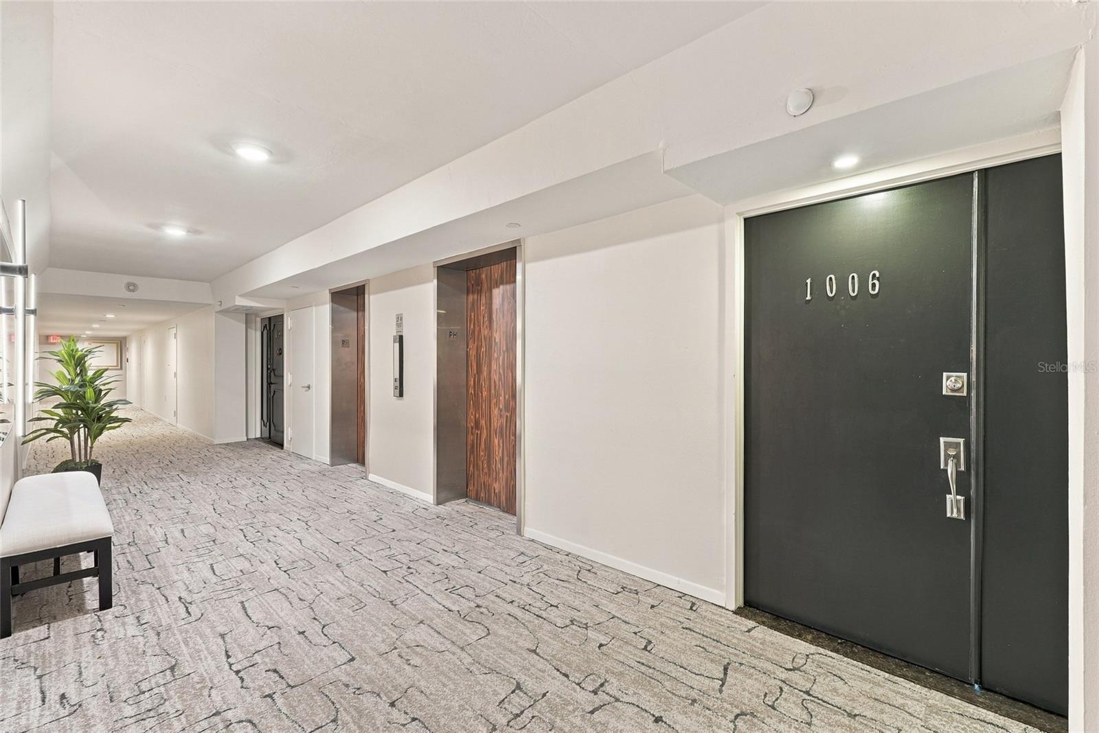 Condominium hallway with patterned carpet and a dark door labeled 1006.