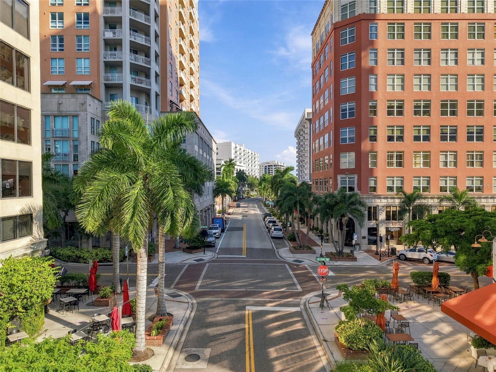 Downtown street between multistory buildings, with palm trees and outdoor café seating.