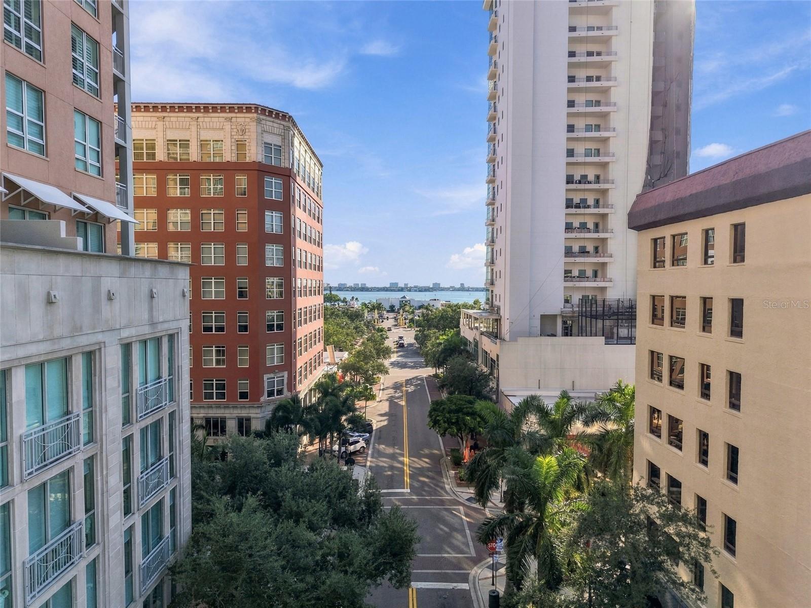 Downtown Sarasota street framed by high-rises, with palm trees and the bay in the distance.
