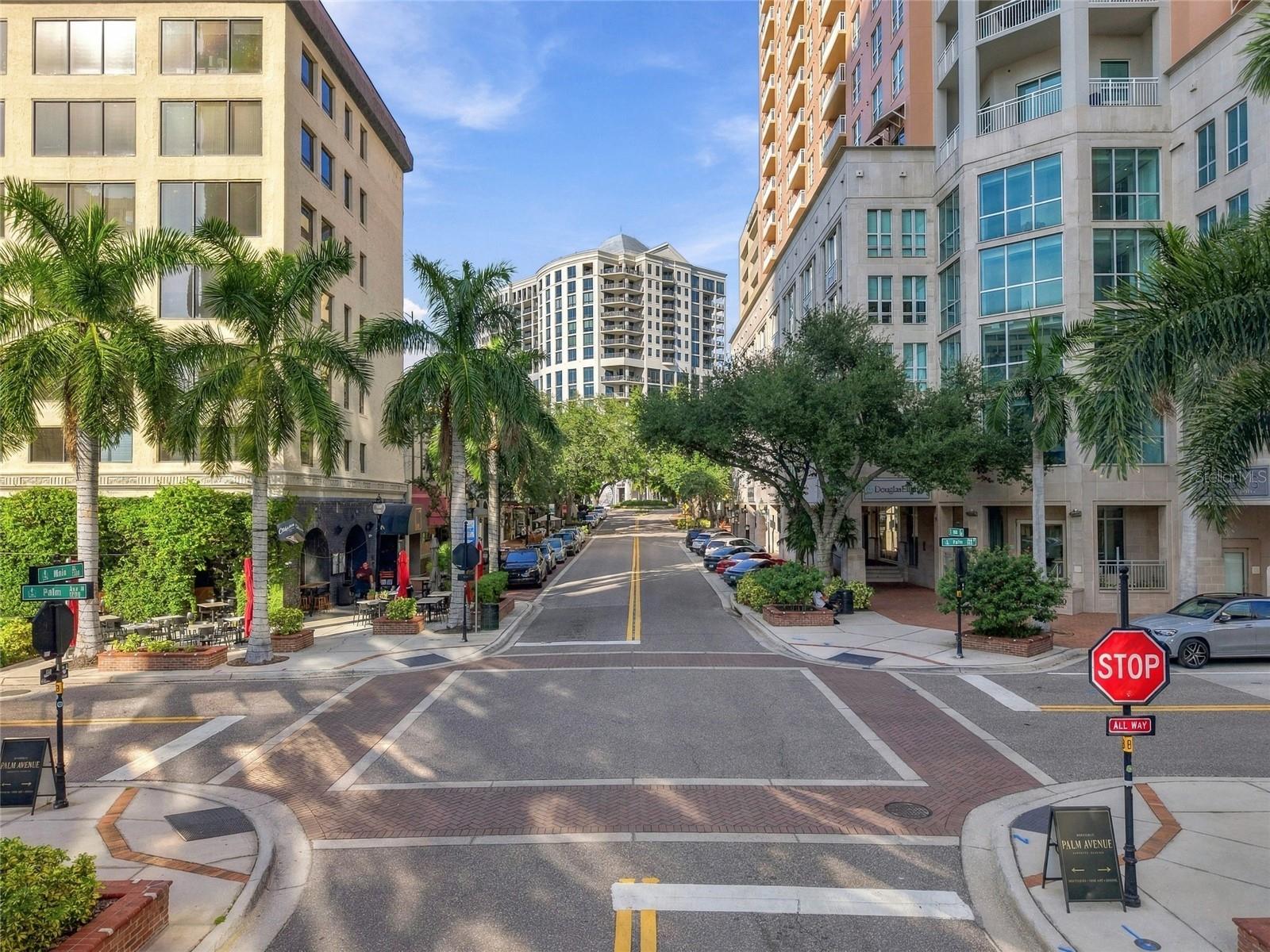 Downtown street lined with palm trees, cafés, and high-rise buildings at Palm Avenue.