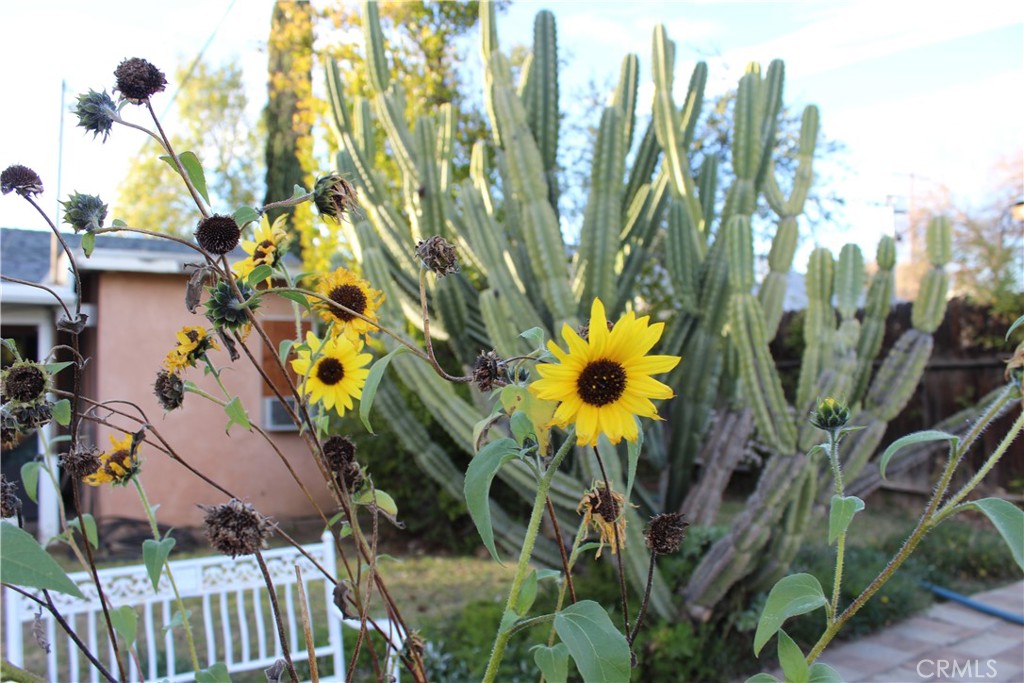 10832 Memory Park Avenue