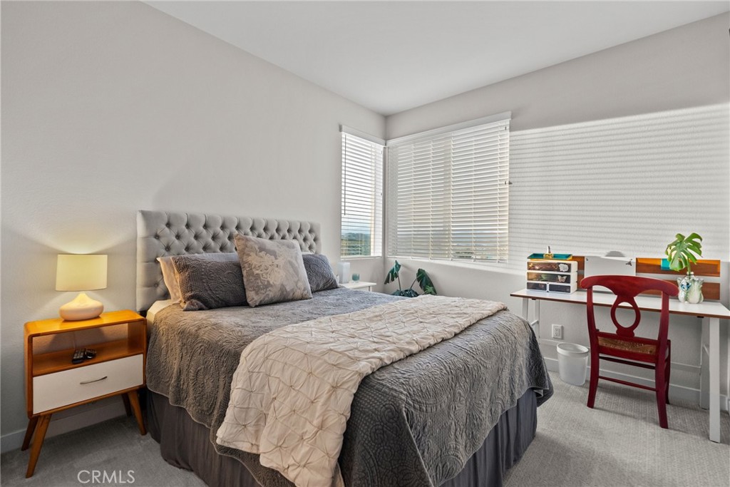 27266 Narrowleaf Willow Lane