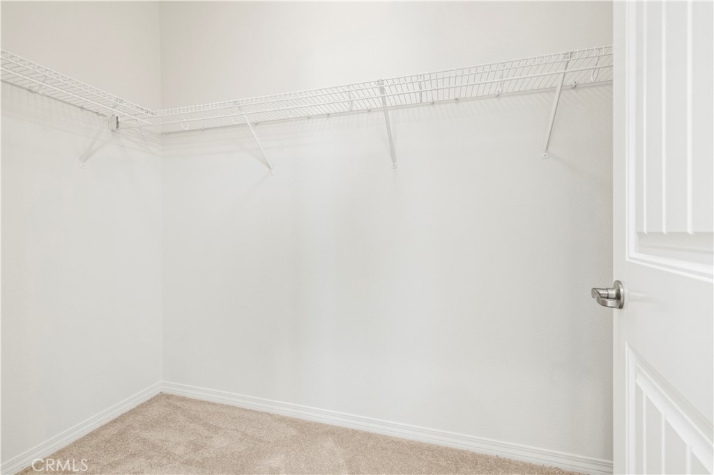 26010 Zaddison Court