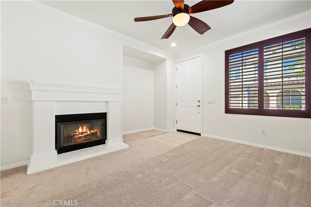 26010 Zaddison Court