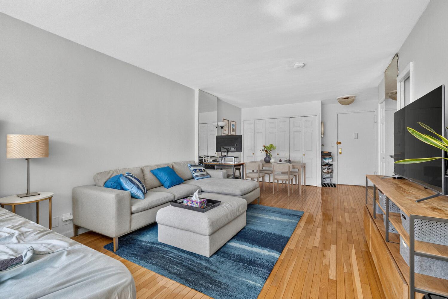 305 E 24TH Street 14K