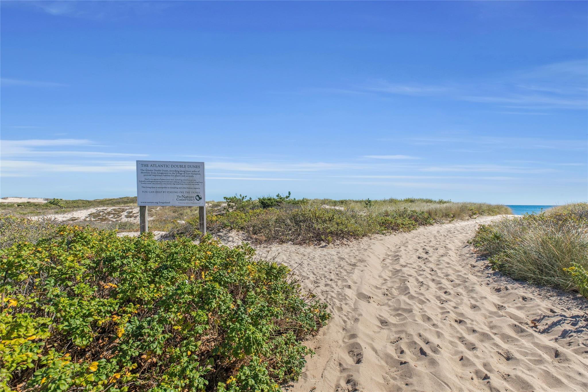 43 Montauk Avenue