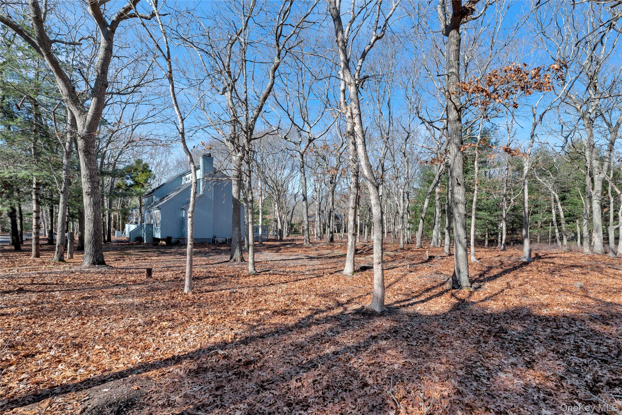 43 Montauk Avenue