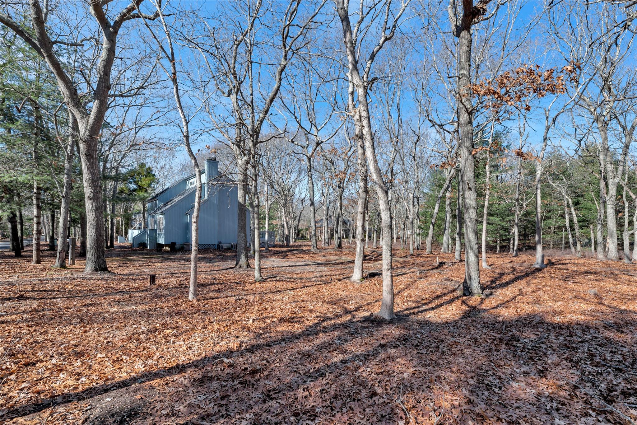 43 Montauk Avenue