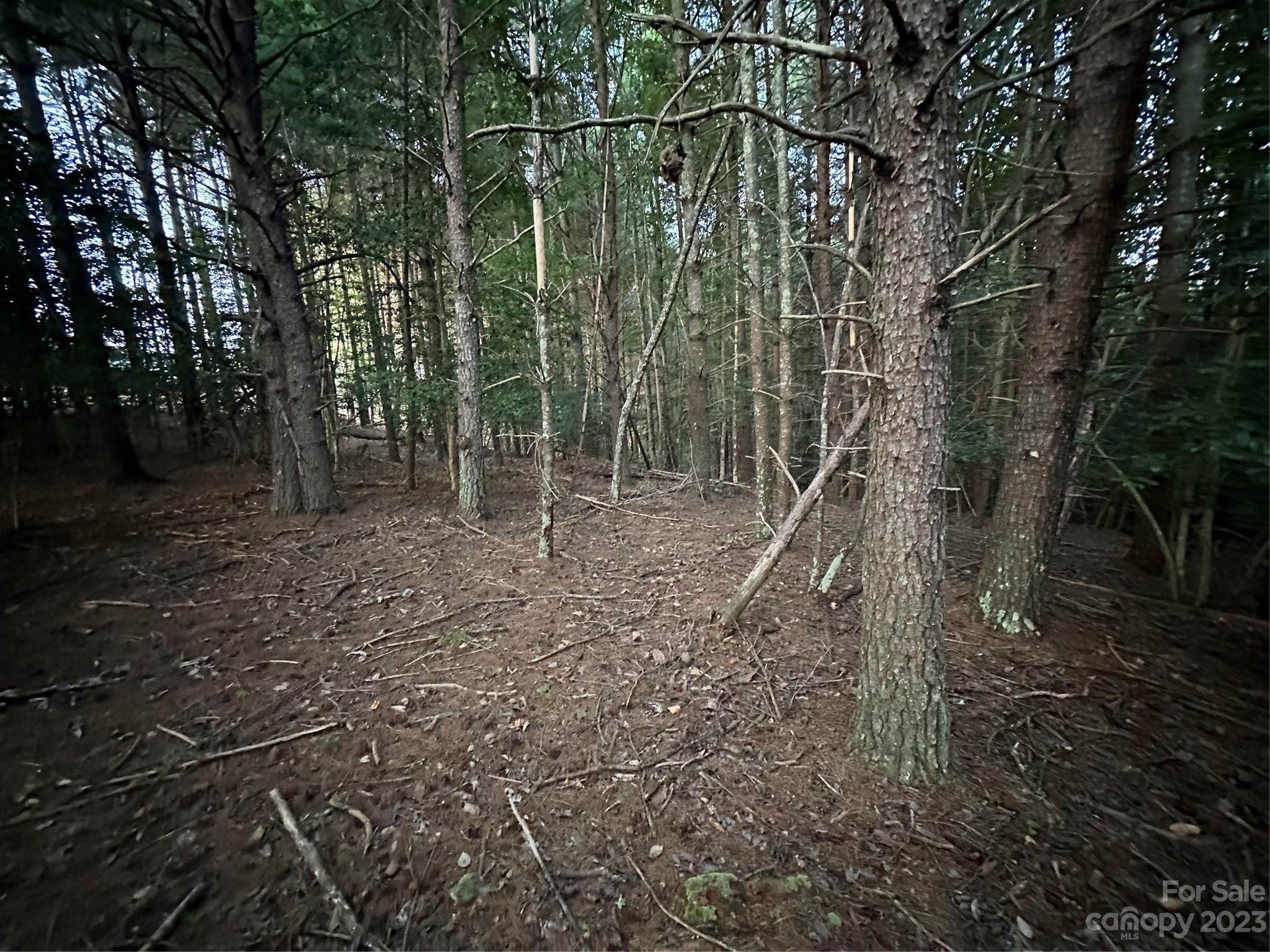 1259 Northview Drive