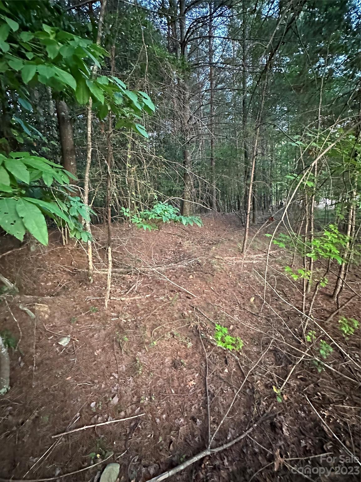 1259 Northview Drive