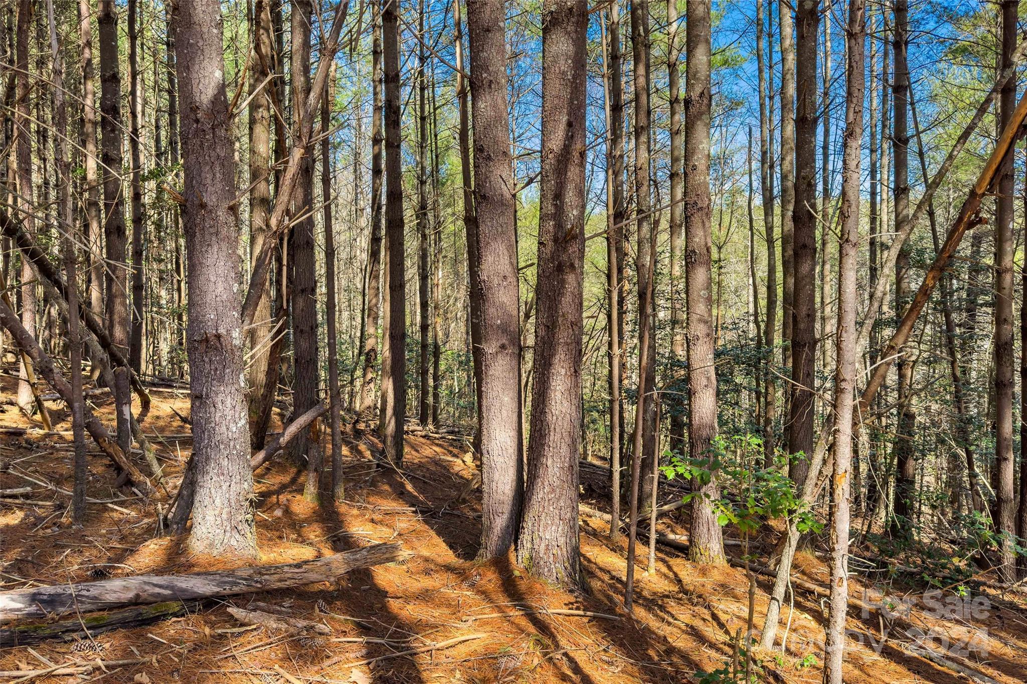 1375 Southpointe Drive