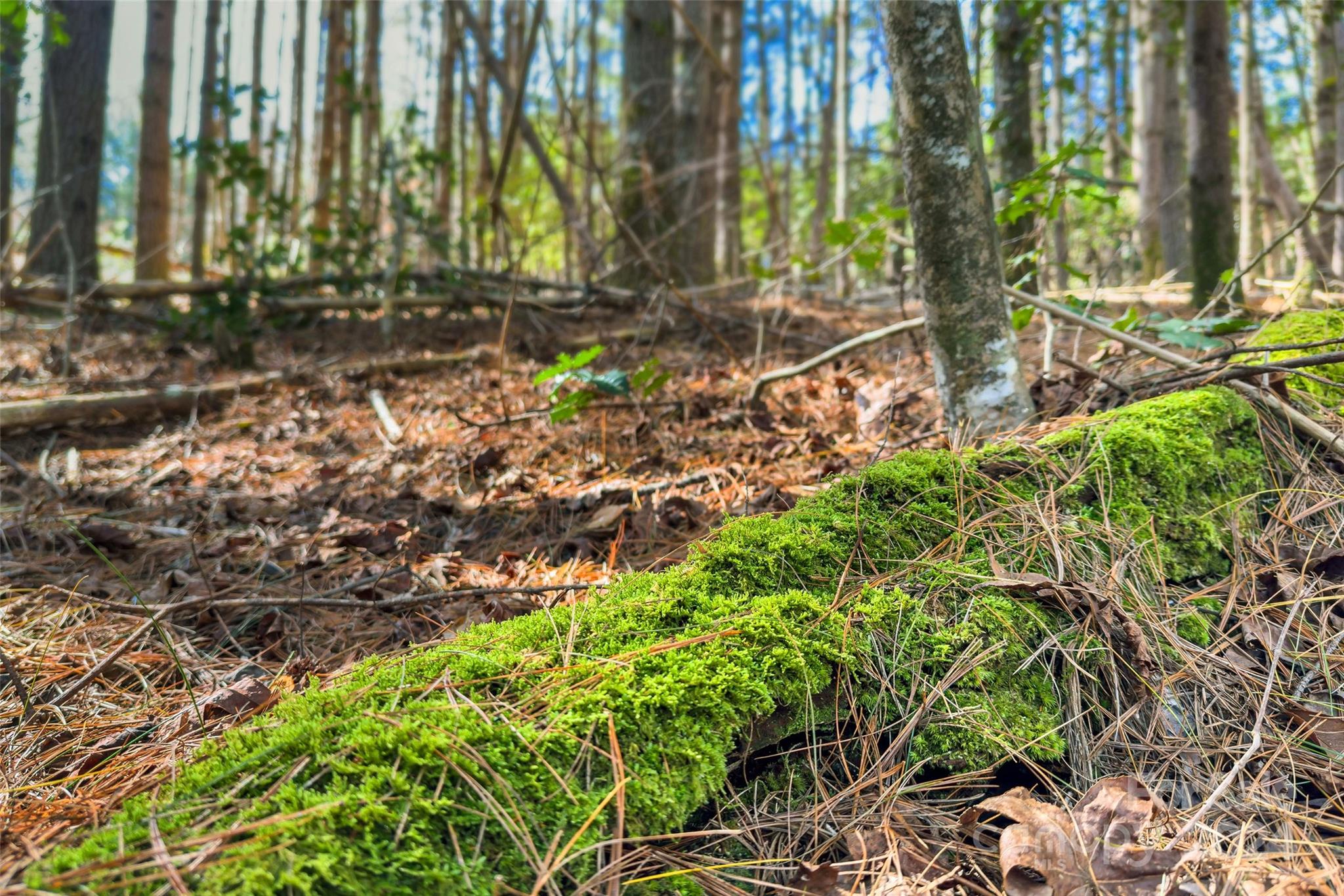 1375 Southpointe Drive