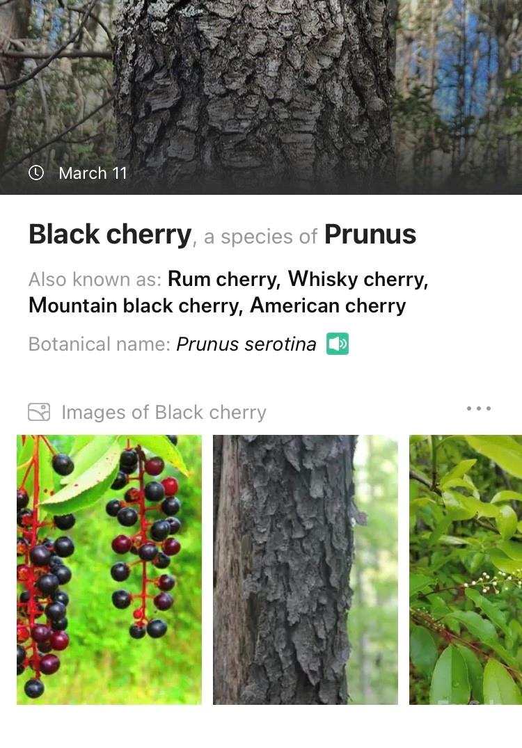 1375 Southpointe Drive