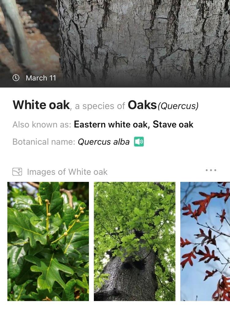 1375 Southpointe Drive