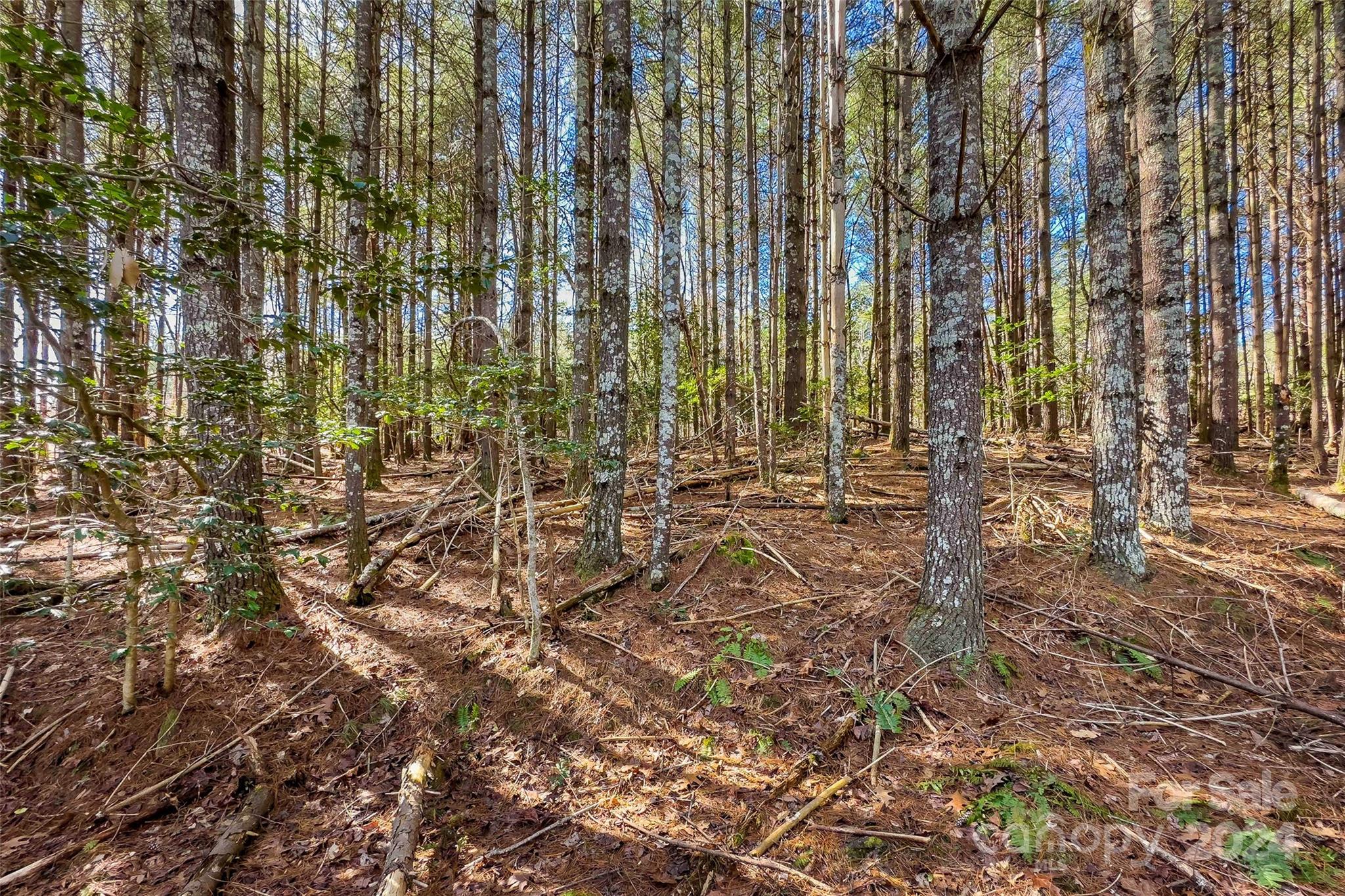 1375 Southpointe Drive