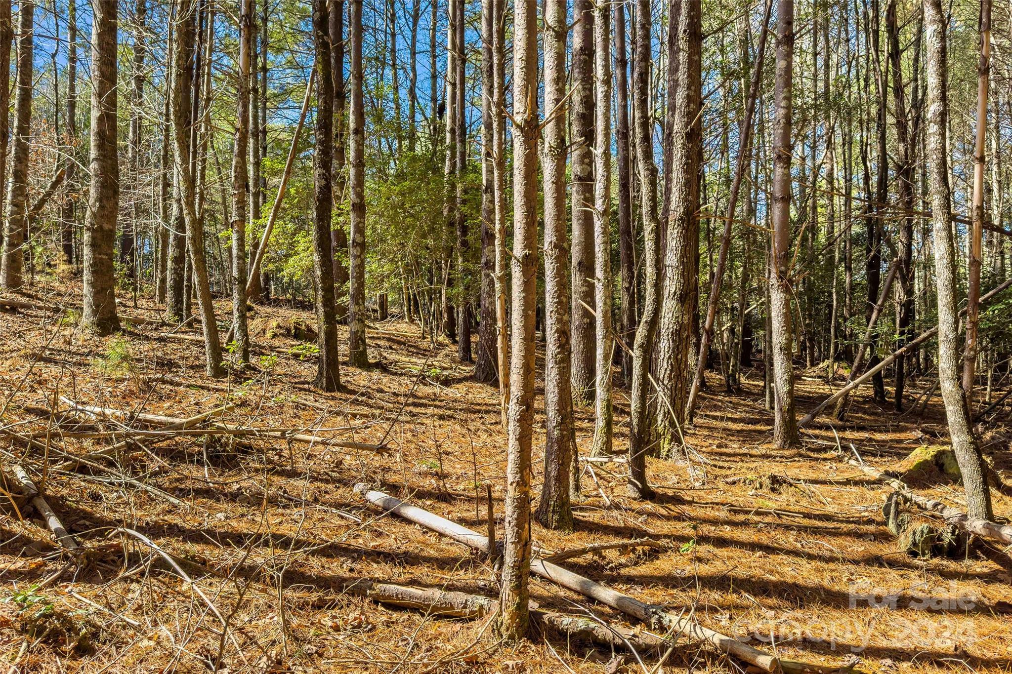 1375 Southpointe Drive