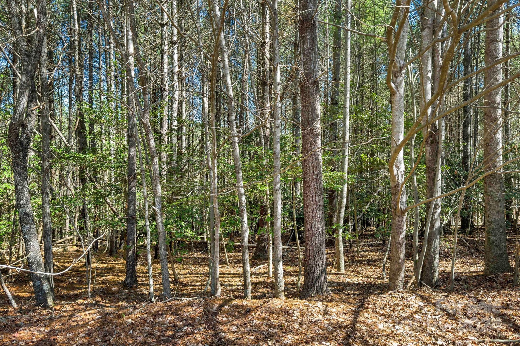 1375 Southpointe Drive