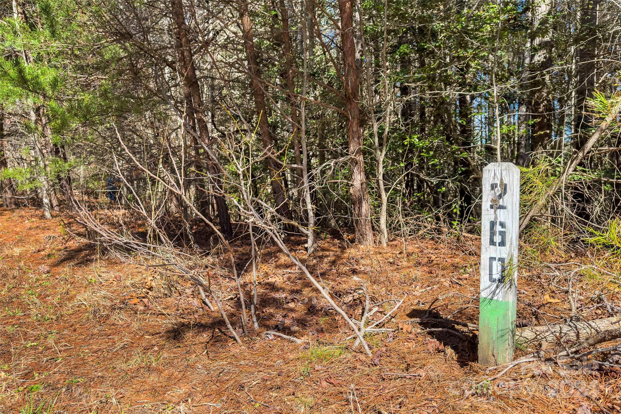 1375 Southpointe Drive