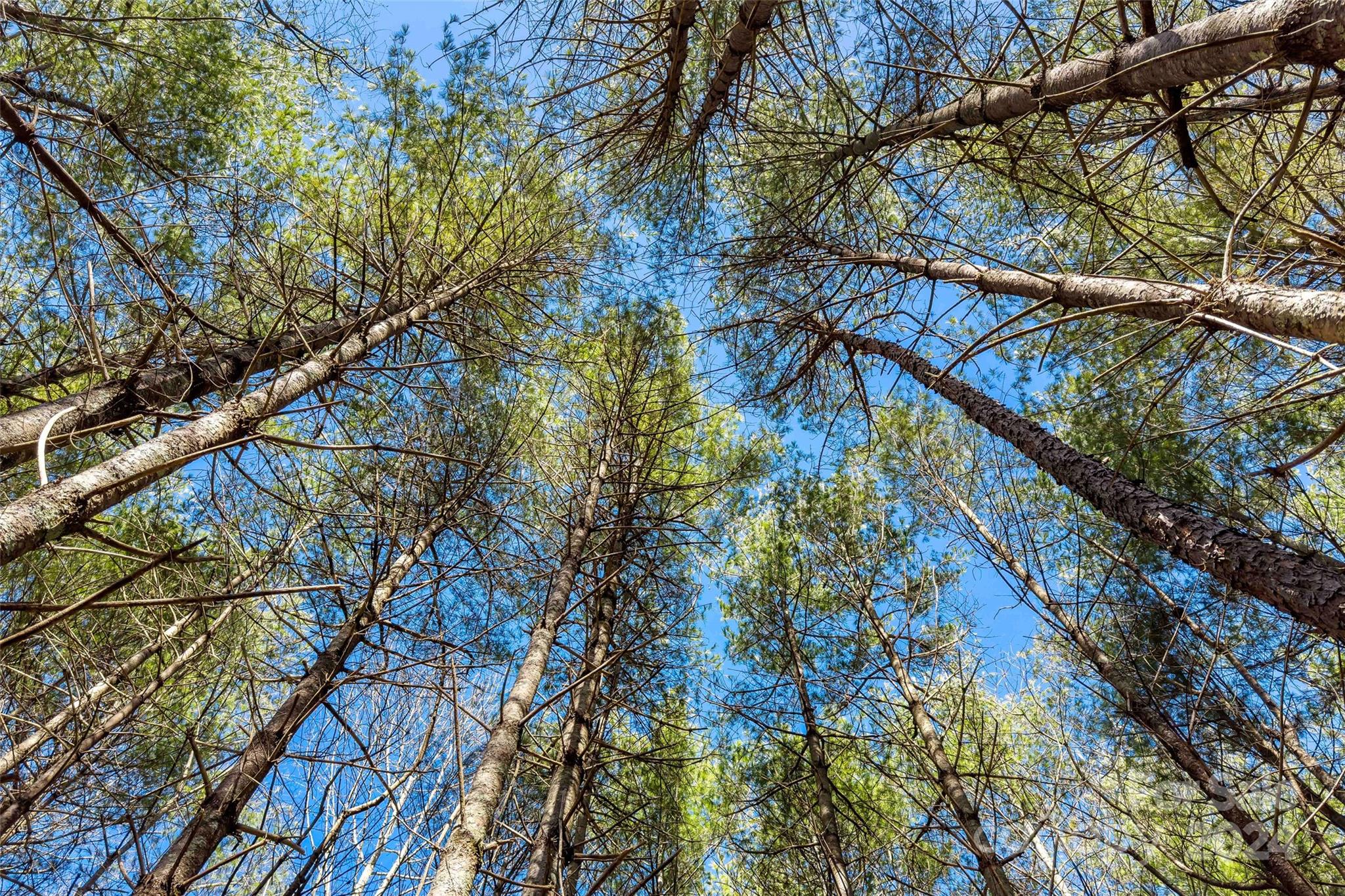 1375 Southpointe Drive