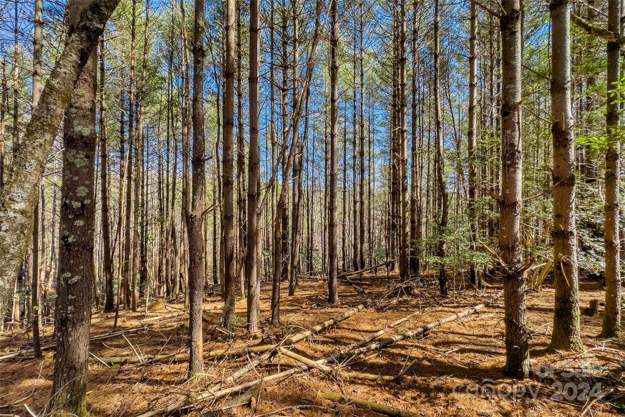 1375 Southpointe Drive