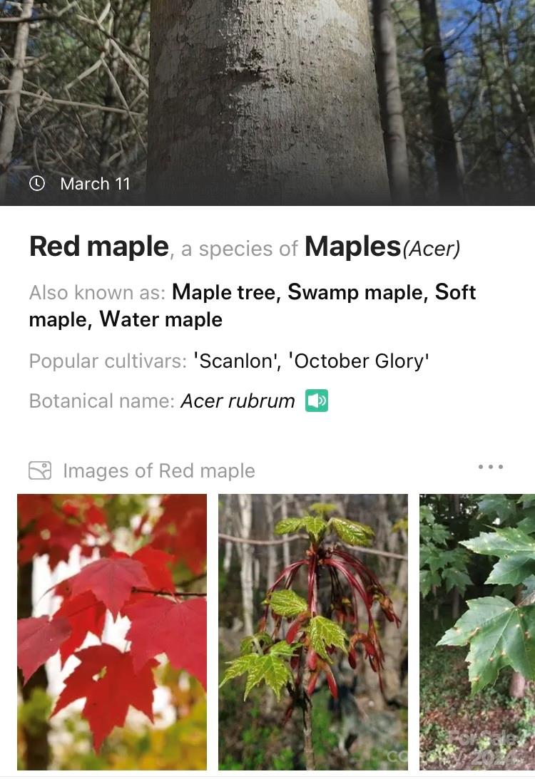 1375 Southpointe Drive