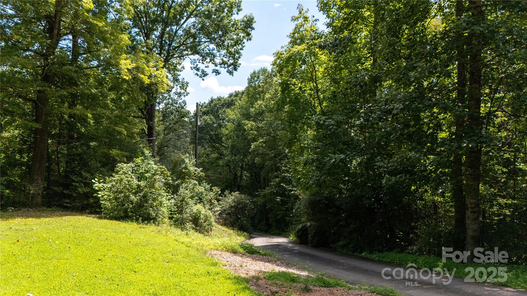 2038 Toms Creek Road