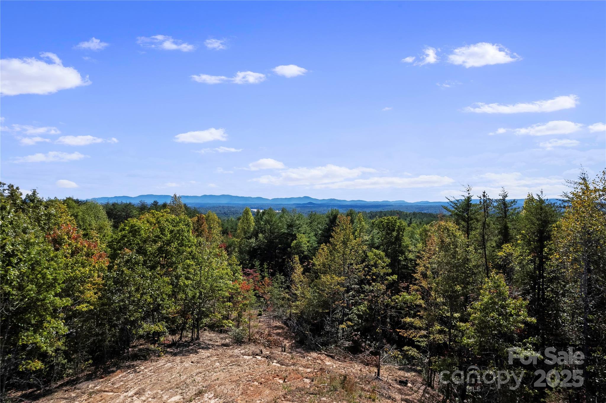 9028 Shortoff View Terrace