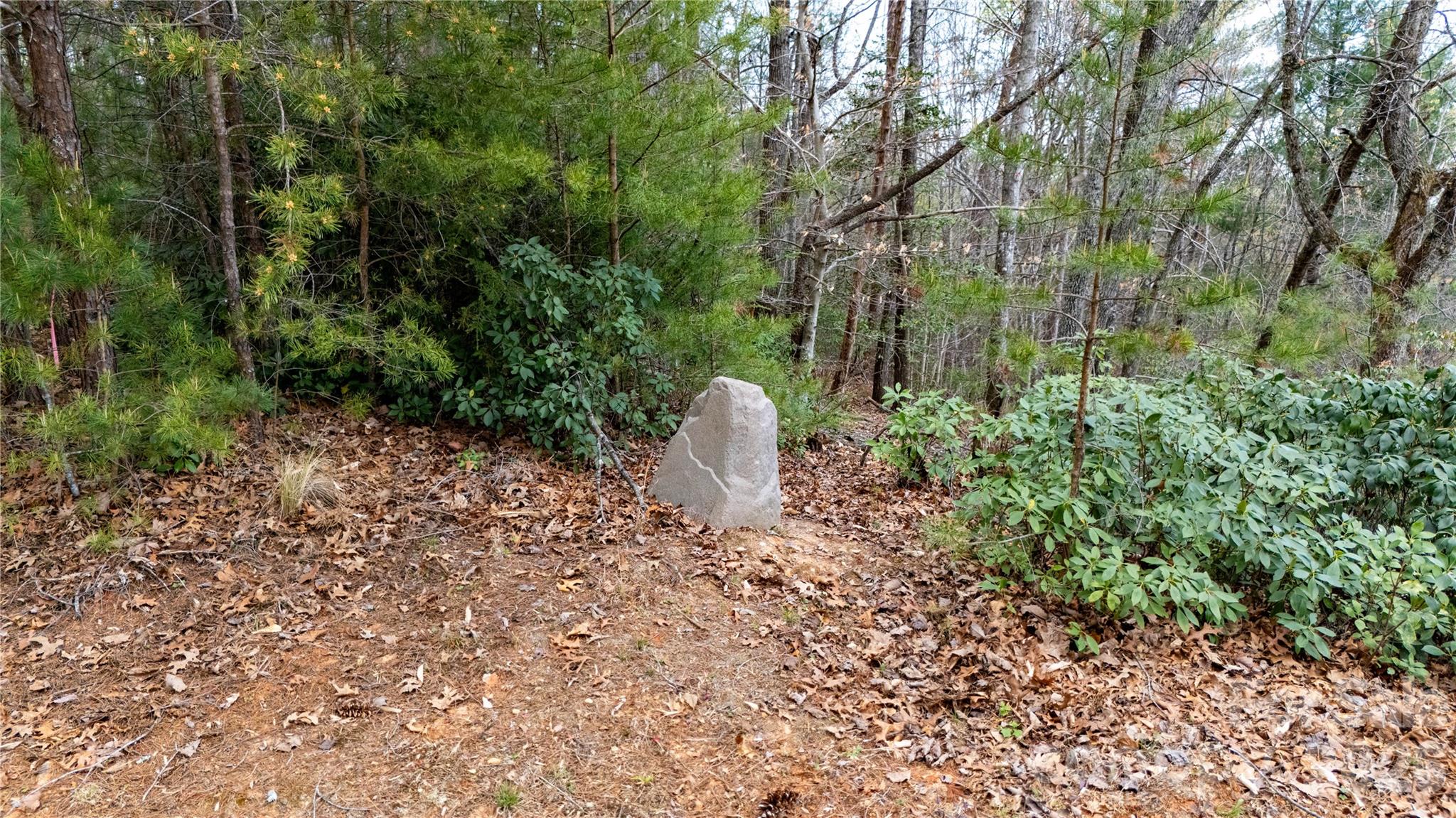 0000 High Trail Drive