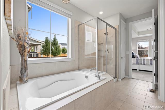 81 Green Fee Circle