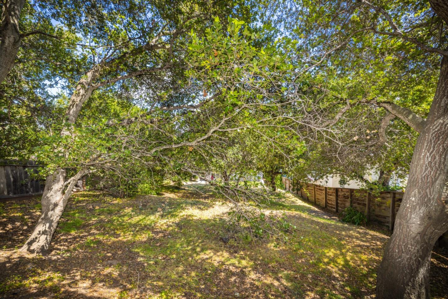 732 Alameda De Las Pulgas