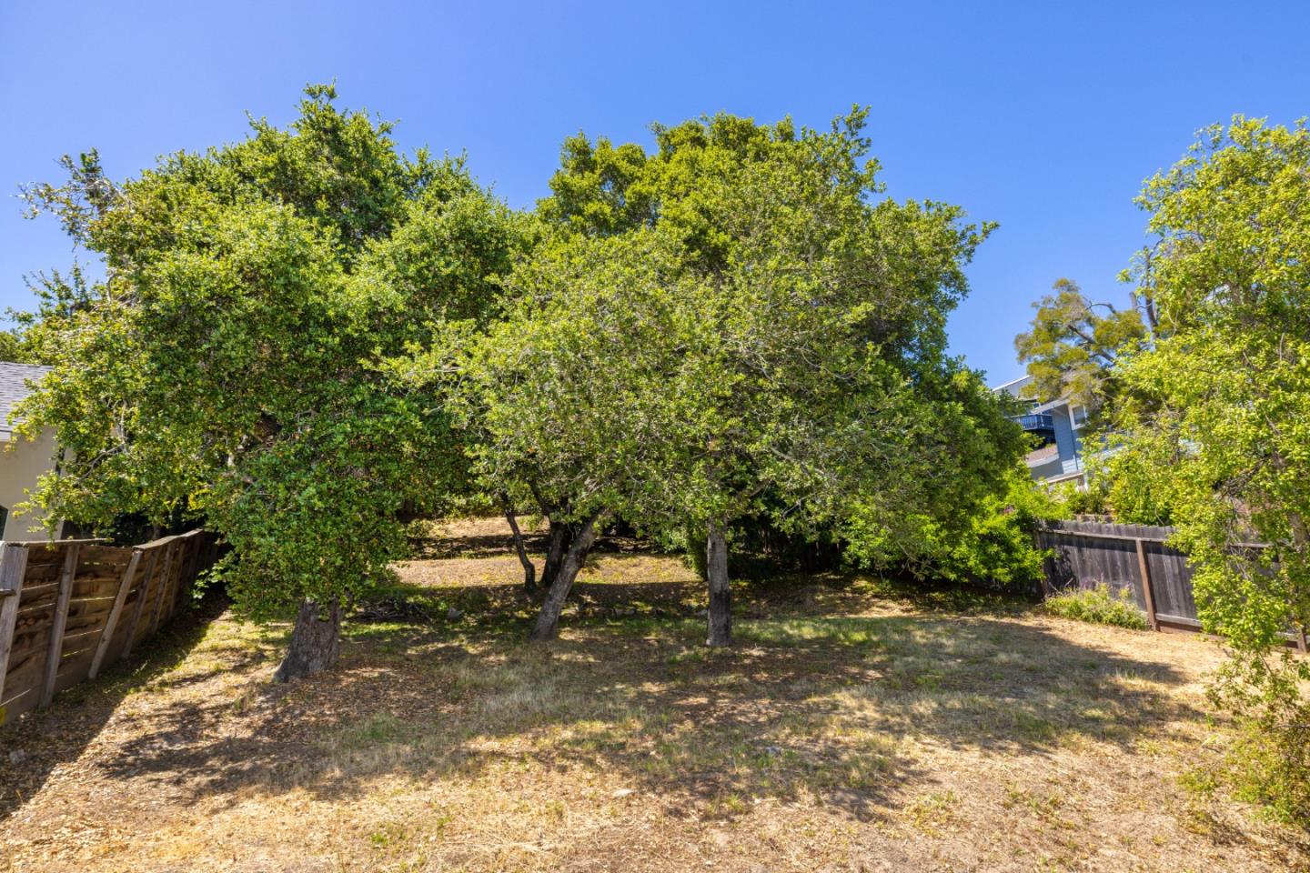 732 Alameda De Las Pulgas