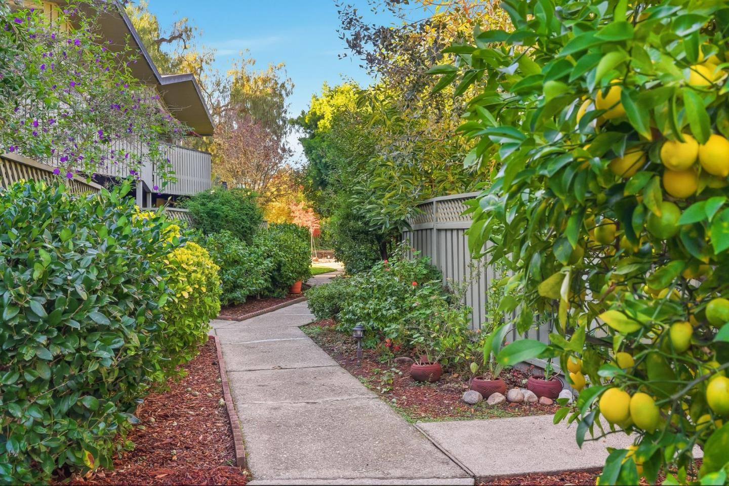 278 Monroe Drive 8