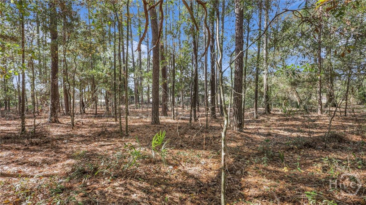 35 Frasier Lane