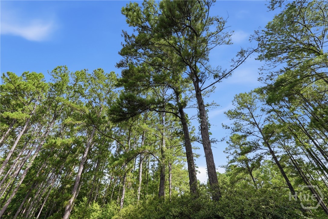113 Ogeechee River Drive