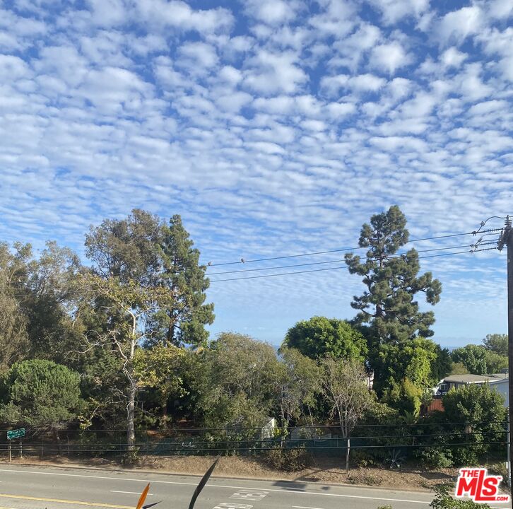 28296 Rey De Copas Ln