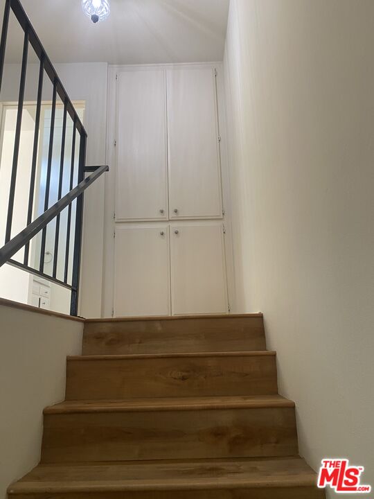 28296 Rey De Copas Ln