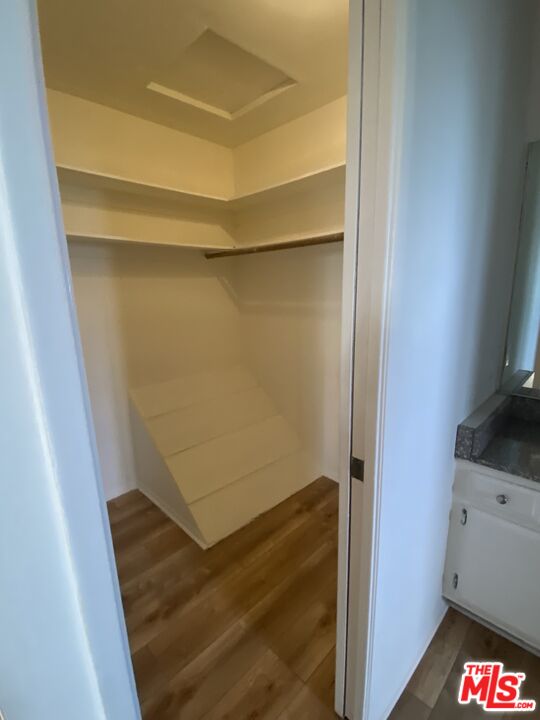 28296 Rey De Copas Ln