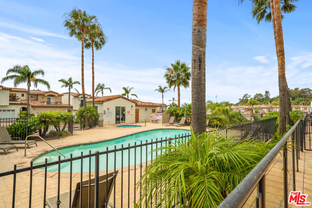 Community pool with palm trees, lounge chairs, and homes beyond the black metal fence.