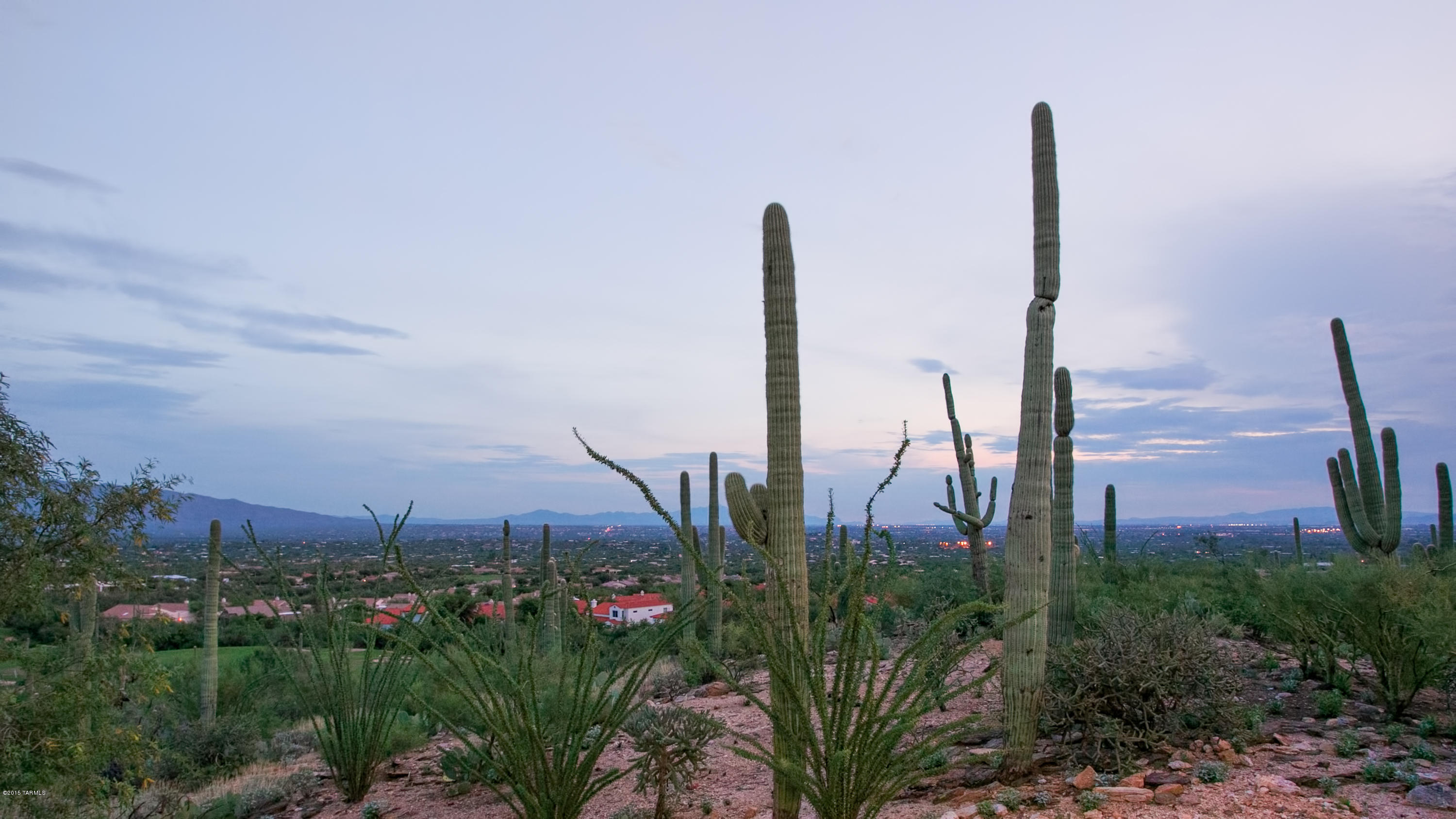 10180 E Sabino Estates Drive